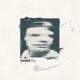 WILD NOTHING-HOLD