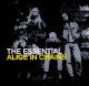 ALICE IN CHAINS-THE ESSENTIAL ALICE IN CHAINS