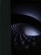 TOOL-FEAR INOCULUM