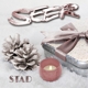 SEER-STAD