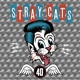 STRAY CATS-40