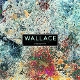 WALLACE-DES DEMAIN