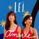 LEI-AMARRE