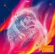 PULLMAN, PHILIP-HIS DARK MATERIALS - THE AMBE...