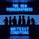 NEW PORNOGRAPHERS-WHITEOUT CONDITIONS