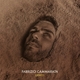 CAMMARATA, FABRIZIO-LIGHTS