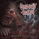 MALEVOLENT CREATION-MEMORIES OF A BEAST