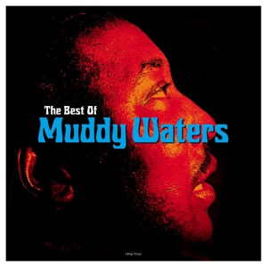 WATERS, MUDDY-BEST OF MUDDY WATERS