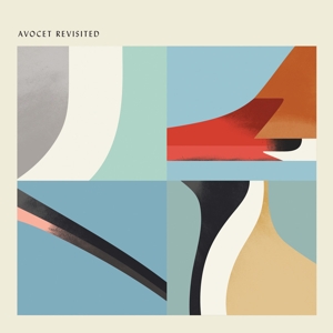 VARIOUS-AVOCET REVISITED