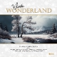 VARIOUS-WINTER WONDERLAND (14 CHRISTMASTIME CLASSICS)