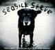 SEASICK STEVE-YOU CAN'T TEACH AN OLD DOG NEW ...