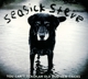 SEASICK STEVE-YOU CAN'T TEACH AN OLD DOG NEW TRICK