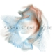 SASHA-SCENE DELETE: THE REMIXES -COLOURED-