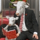 MOBY-EVERYTHING WAS BEAUTIFUL, AND NOTHING HU...