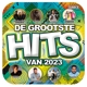 VARIOUS-DE GROOTSTE HITS VAN 2023
