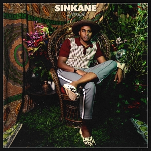 SINKANE-DEPAYSE