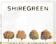 SHIREGREEN-INDIAN SUMMER