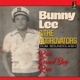 LEE, BUNNY & THE AGGROVATORS-RUN SOUND BOY RU...