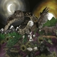AVATAR-FEATHERS & FLESH -COLOURED-