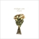 URE, MIDGE-FRAGILE