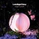 HOT CHIP-LATE NIGHT TALES