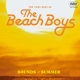 BEACH BOYS-SOUNDS OF SUMMER: THE VERY BEST OF