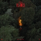 LA ROUX-OLD FLAMES