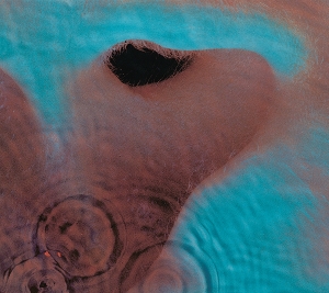 PINK FLOYD-MEDDLE