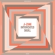 J-ZONE-INTOXICATED SKULL