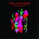 FOO FIGHTERS-WASTING LIGHT