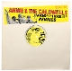 ANNIE & THE CALDWELLS-WRONG/I MADE IT REMIXES