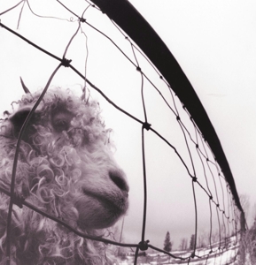 PEARL JAM-VS. VINYL EDITION (REMASTERED)