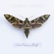 COWBOY JUNKIES-SUCH FEROCIOUS BEAUTY -COLOURE...