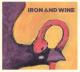 IRON & WINE-BOY WITH A COIN