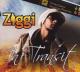 ZIGGI-IN TRANSIT