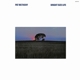 METHENY, PAT-BRIGHT SIZE LIFE