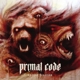 PRIMAL CODE-OPAQUE FIXATION