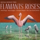 SERGIO, NICOLA-FLAMANTS ROSES
