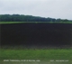 THREADGILL, HENRY-DIRT ... AND MORE DIRT