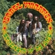 ISRAEL VIBRATION-STRENGTH OF MY LIFE