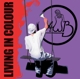 AVERAGE WHITE BAND-LIVING IN COLOUR
