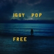POP, IGGY-FREE
