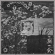 VARIOUS-INCHIGOICHI (ONCE IN A LIFETIME)