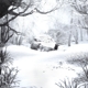 WEEZER-SZNZ: WINTER