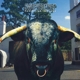 SWERVEDRIVER-MEZCAL HEAD