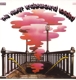 VELVET UNDERGROUND-LOADED