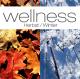 VARIOUS-WELLNESS:HERBST/WINTER