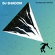 DJ SHADOW-MOUNTAIN WILL FALL