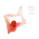 COIL-APE OF NAPLES