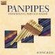 ACONCAGUA-PANPIPES FROM BOLIVIA, PE